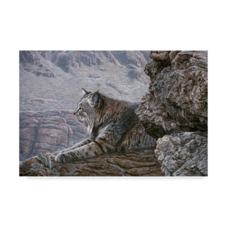 Ron Parker 'Resting Bobcat' Canvas Art,12x19